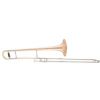 Arnolds&Sons ASL-3540B tenorov pozoun