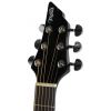 Flycat Standard BK akustick kytara