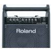 Roland PM-30 aktivn ozvuovac souprava