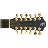Baton Rouge R65 CE 12TS elektricko-akustick kytara