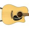 Takamine EG320SC-NS elektricko-akustick kytara