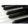 Kawai CA 97 R digitln piano