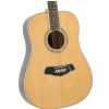 Morrison BD100-12 akustick kytara