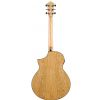 Ibanez AEW 40 AS NT elektricko-akustick kytara