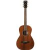 Ibanez AVN 2 OPN akustick� kytara
