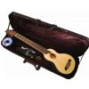 Washburn Rover Travel RO 10 N akustick kytara