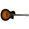 Baton Rouge R65 CE 12TS elektricko-akustick kytara