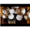 Meinl HCS Bronze Deluxe Set 14″ 16″ 18″ 20″ sada bubnových činelů